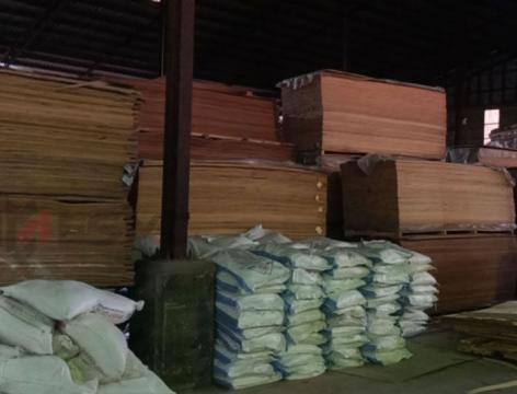 Construction plywood production form veneer peeling to final plywood making