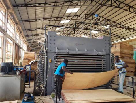 Construction plywood production form veneer peeling to final plywood making