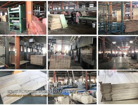 Sofa Frame Plywood Manufacturing Project: Complete Production Line for Plywood making and CNC Cutting