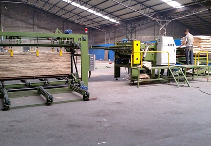 veneer production composing machine.jpg