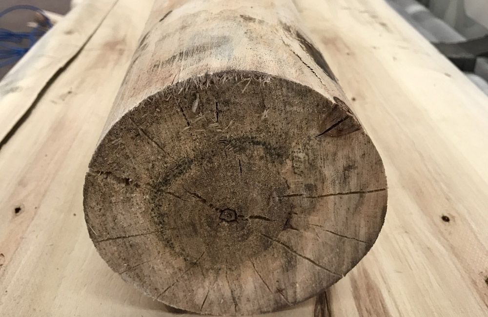 wood round logs.jpg wood round logs.jpg